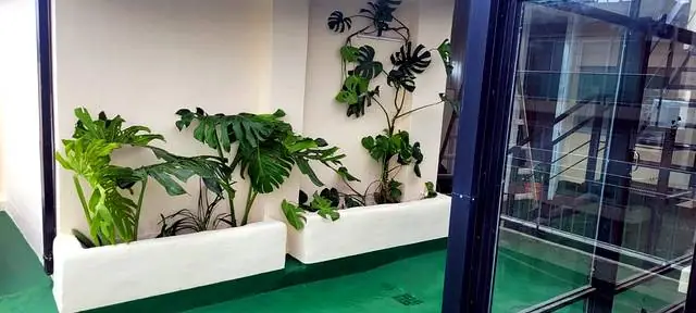 Jardineras de mampostería con plantas sobre el piso impermeabilizado